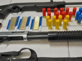 Chapecó e Florianópolis foram os “polos” de apreensões de armas de fogo em 2022 Armas de grosso calibre apreendidas em Palhoça
