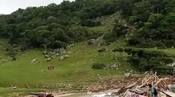 bar do vale da utopia em palhoça é demolido em ação do mpsc