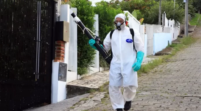 Prefeitura de Florianópolis faz aplicação de inseticida no Centro contra mosquito da dengue