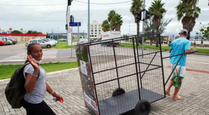 novos carrinhos para catadores de recicláveis em são josé