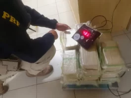 PRF encontra carga de 48 quilos de cocaína na BR 101 em Biguaçu