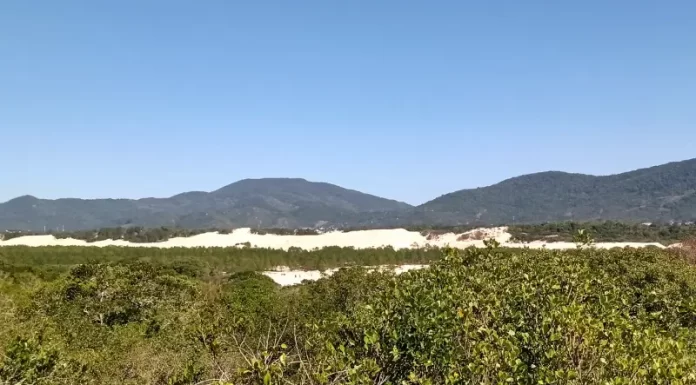 dunas do moçambique e morro das capivaras, no norte da ilha de florianópolis