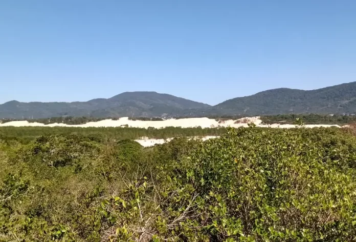 dunas do moçambique e morro das capivaras, no norte da ilha de florianópolis