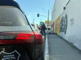 Guarda de São José fez 51 prisões em flagrante em 2022