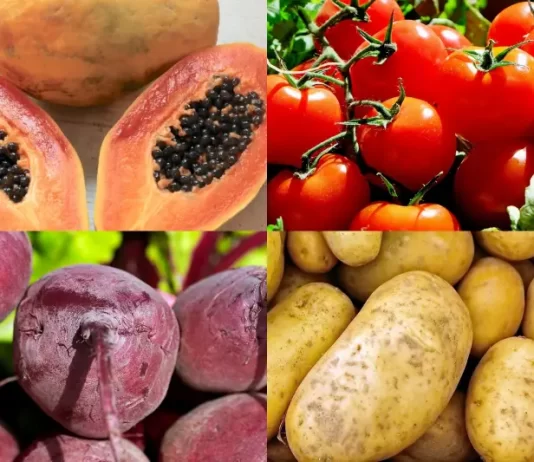 inflação média dos alimentos em florianópolis