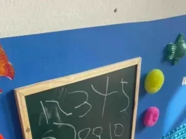Pró Autismo Floripa recebe apoio no cooperativismo Projeto de desenvolvimento atende mais de 700 crianças com TEA em Florianópolis