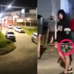 Ocupação em Palhoça provoca conflito com moradores da Guarda do Cubatão