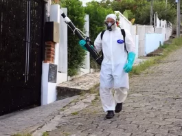 Prefeitura de Florianópolis faz aplicação de inseticida contra mosquito da Dengue