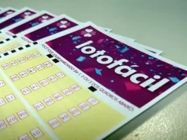 Cinco apostas catarinenses são premiadas na Lotofácil da Independência aposta na Lotofácil