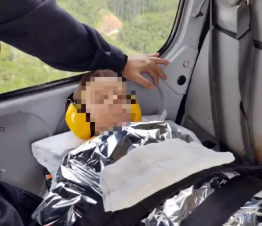 Criança é picada por cobra coral em Nova Trento e levada de helicóptero para hospital