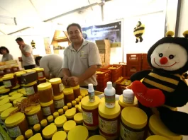 feira dp mel em florianópolis