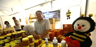 feira dp mel em florianópolis