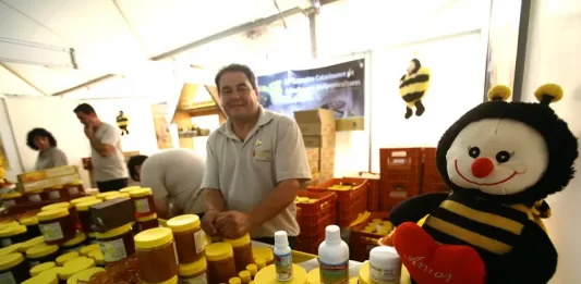 Florianópolis recebe a Feira do Mel de Santa Catarina em maio feira dp mel em florianópolis