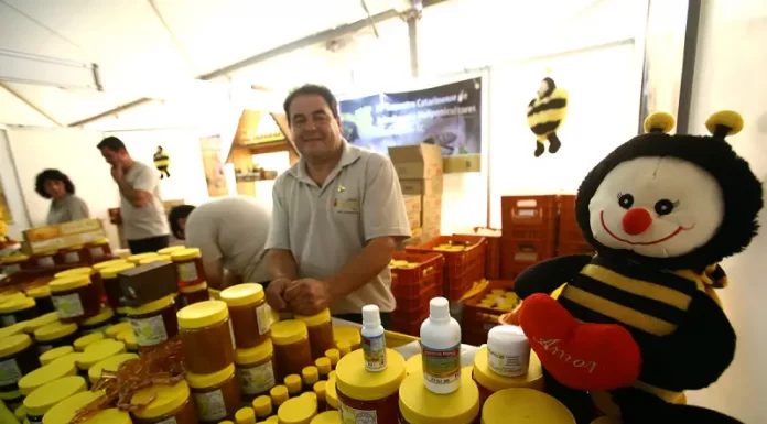 feira dp mel em florianópolis
