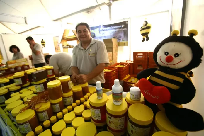 feira dp mel em florianópolis