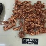Polícia Civil realiza operação contra furtos e receptação de fios e cumpre mandados de busca em Florianópolis