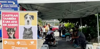 Florianópolis realiza mutirão de castrações no bairro Ingleses nesta semana