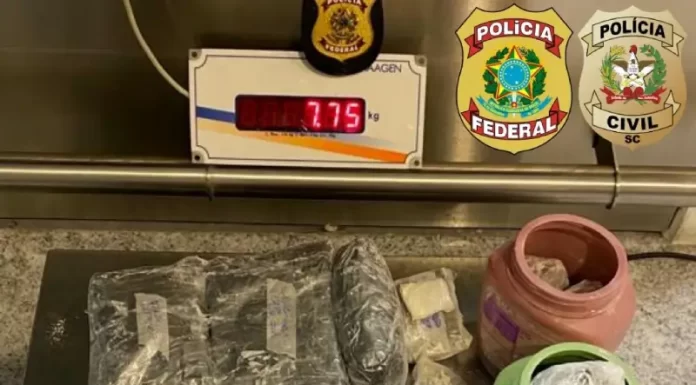 Passageira é pega traficando 7 kg de maconha no aeroporto de Florianópolis