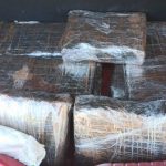 Casal que traficava 88 quilos de maconha é preso em Biguaçu