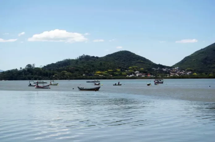 monitoramento de águas da baía norte, próximo ao MOnte Verde