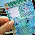 Carteira Nacional de Habilitação tem novo modelo - CNH