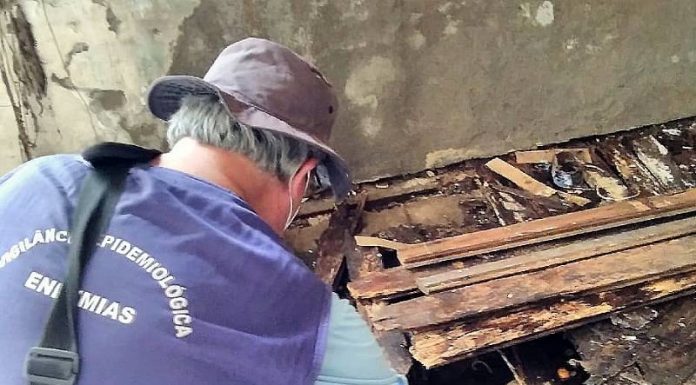 Salário de agentes de saúde e endemias é reajustado em São José e Biguaçu Entre diversas funções, agentes de endemias são responsáveis por combater mosquito da dengue