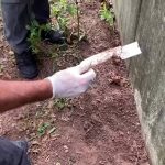Polícia encontra faca utilizada em latrocínio em São José