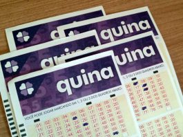 Apostas das Loterias Caixa ficam mais caras a partir de 9 de julho Loteria Quina - Números Sorteados