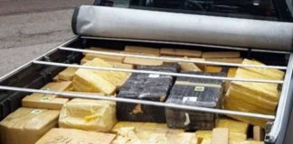 BR-101 em Biguaçu: 356kg de maconha apreendidos em caminhonete