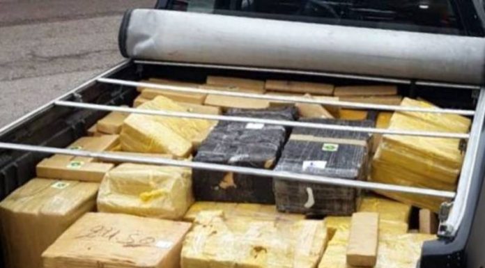 BR-101 em Biguaçu: 356kg de maconha apreendidos em caminhonete