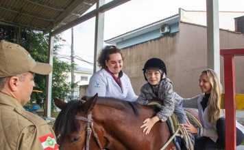 Cavalos resgatados das ruas viram aliados da equoterapia