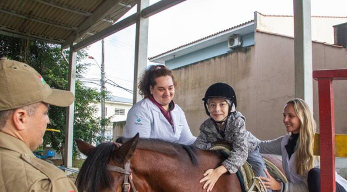 Cavalos resgatados das ruas viram aliados da equoterapia