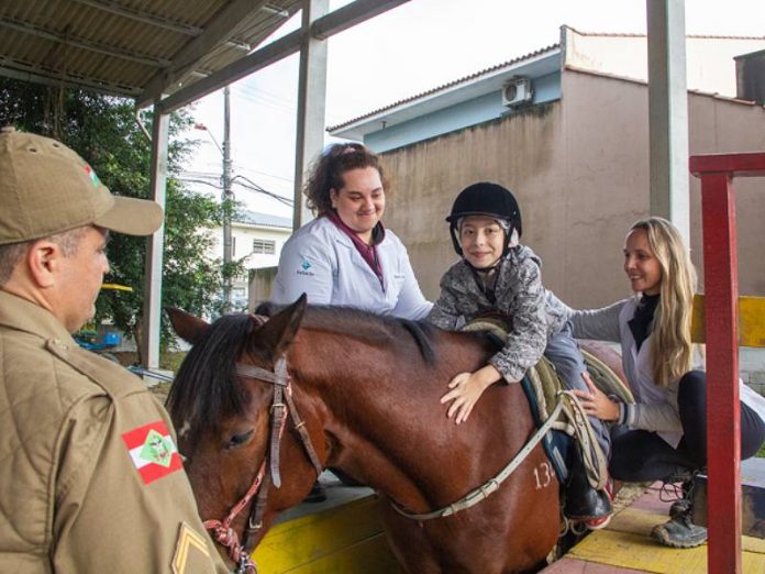 Cavalos resgatados das ruas viram aliados da equoterapia