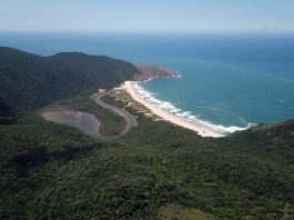 Briga generalizada no Lagoinha do Leste resulta em tentativa de homicídio Praia da Lagoinha do Leste