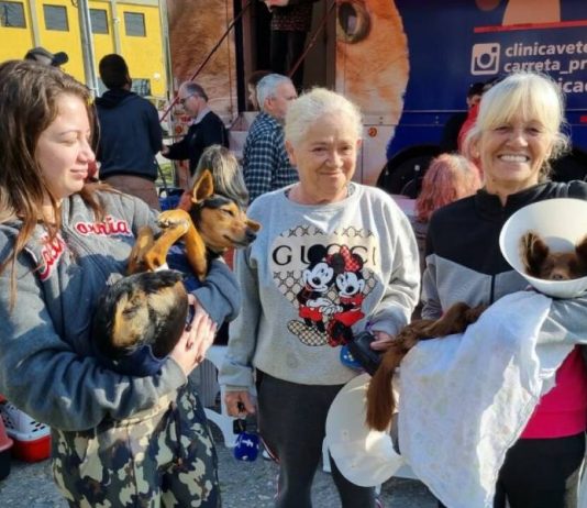 Mutirão castra 158 cães e gatos no bairro Roçado Mutirão castra 158 cães e gatos no bairro Roçado