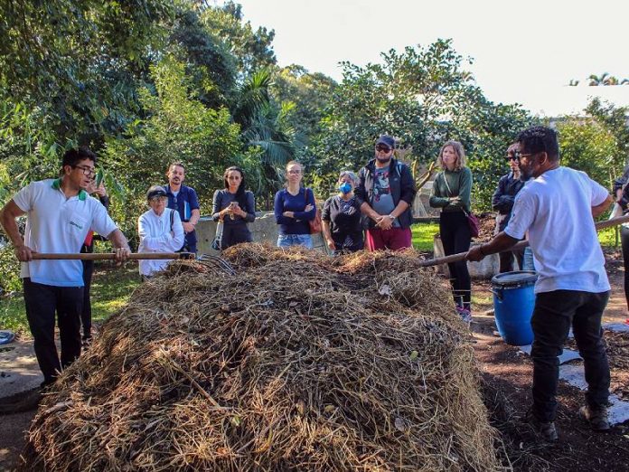 Pátios de compostagem em Florianópolis processam 70 toneladas por mês