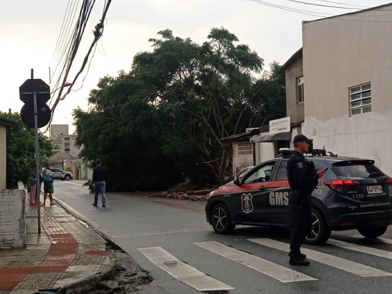 Árvore caiu sobre residência e fiação em São José
