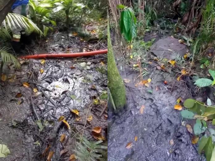 extravasamento de esgoto na lagoa da Conceição