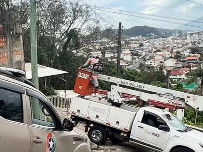 Operação Garfield, contra gatos em São José