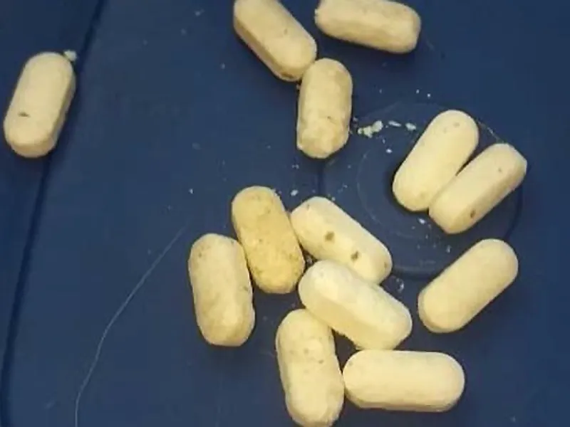 Pílulas usadas para tentar matar cães em Palhoça