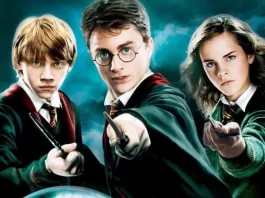 Aniversário do Bistek Supermercados traz o mundo mágico de Harry Potter