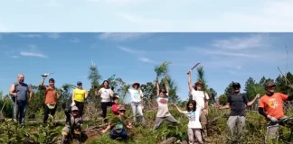 Voluntários comemoram retirada das plantas exóticas do Parque do Tabuleiro