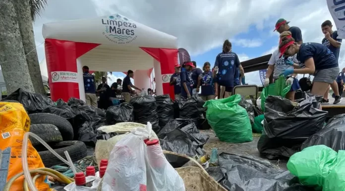 Projeto Limpeza dos Mares retira 2,8 toneladas de resíduos do Rio Biguaçu