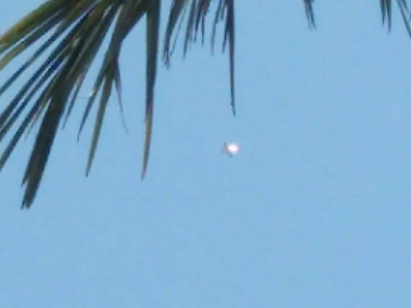Possível imagem de avião desaparecido da FAB em Santa Catarina