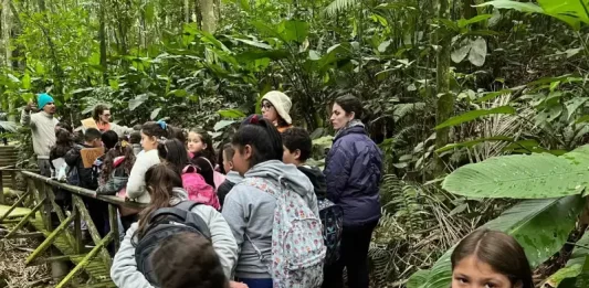 Projeto escolar em São José ganha visibilidade internacional