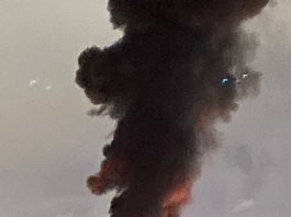 Incêndio atinge área da Colônia Penal de Palhoça