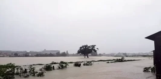 Rio Forquilhas transbordou