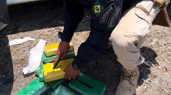 Carga de milionária de cocaína é apreendida em Palhoça