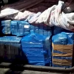 Mais de 280 kg de maconha são apreendidos em Palhoça
