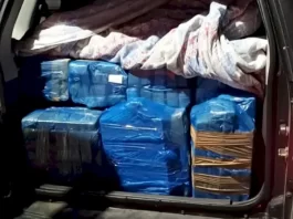 Mais de 280 kg de maconha são apreendidos em Palhoça